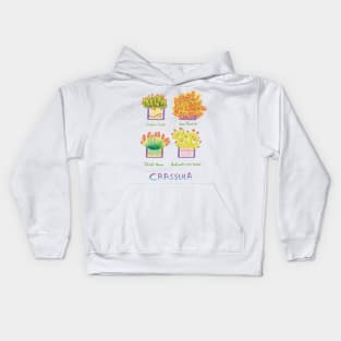 Four Crassula succulents Kids Hoodie